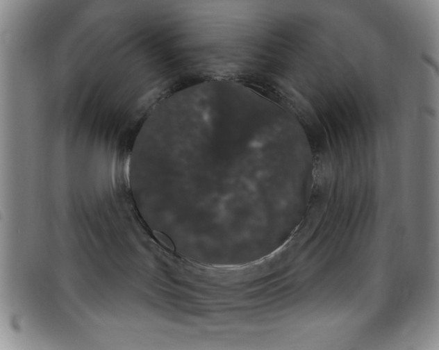 X0000098140047200804241725