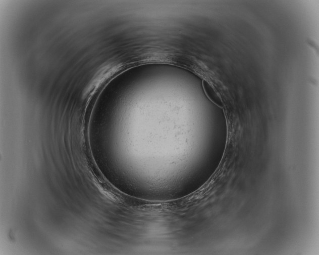 X0000098140050200804241724