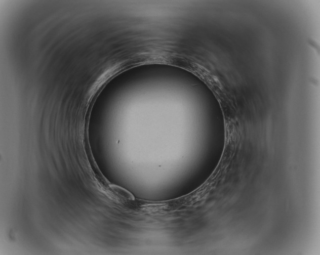 X0000098140051200804241724