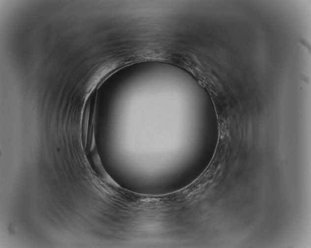 X0000098140052200804241724
