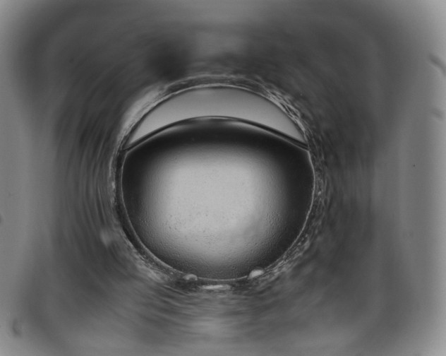 X0000098140053200804241724