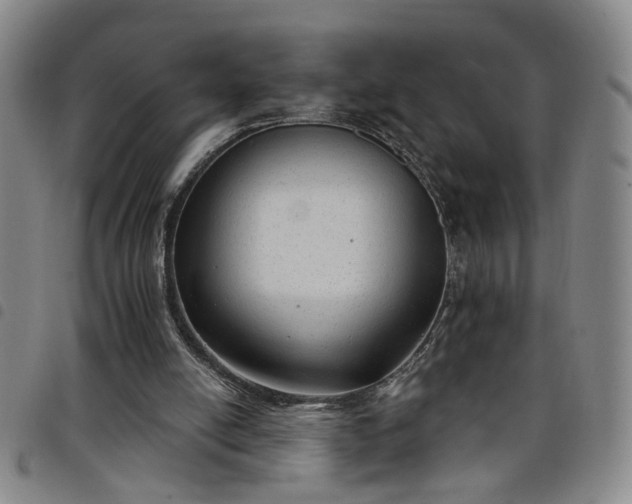 X0000098140054200804241724