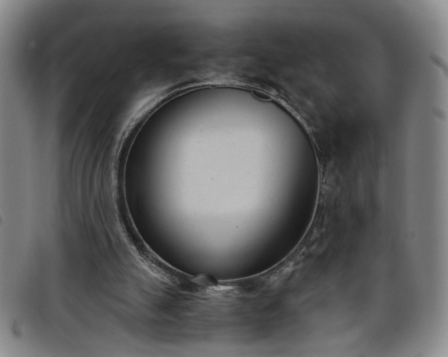 X0000098140055200804241724