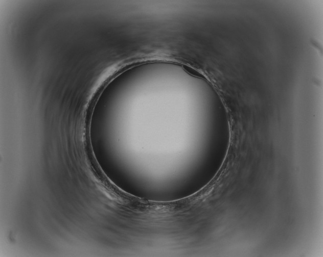 X0000098140056200804241724