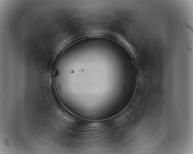 X0000098140059200804241724