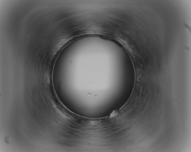 X0000098140060200804241724