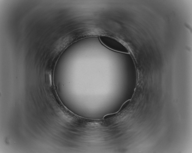 X0000098140061200804241724