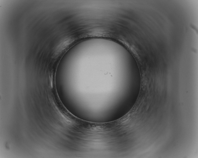 X0000098140062200804241724