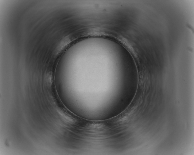 X0000098140063200804241724