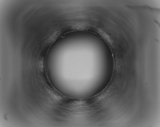 X0000098140065200804241724