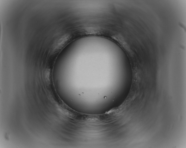 X0000098140066200804241724
