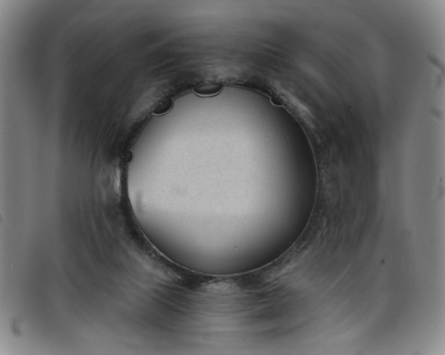 X0000098140067200804241724