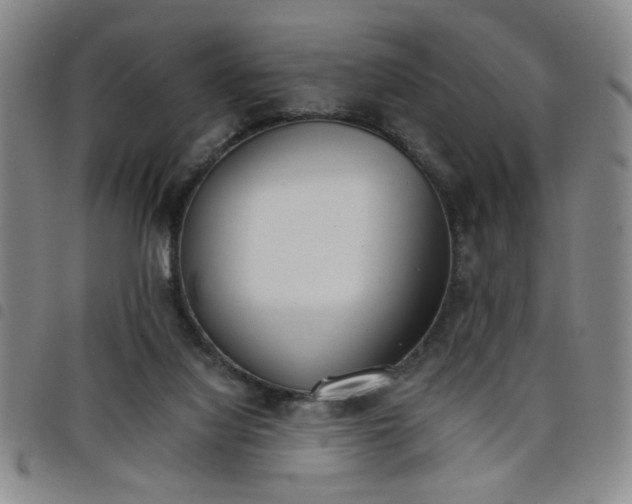 X0000098140068200804241724