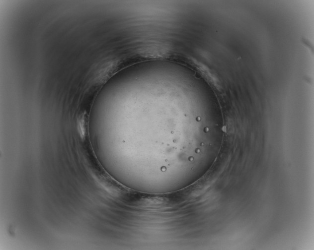 X0000098140069200804241724