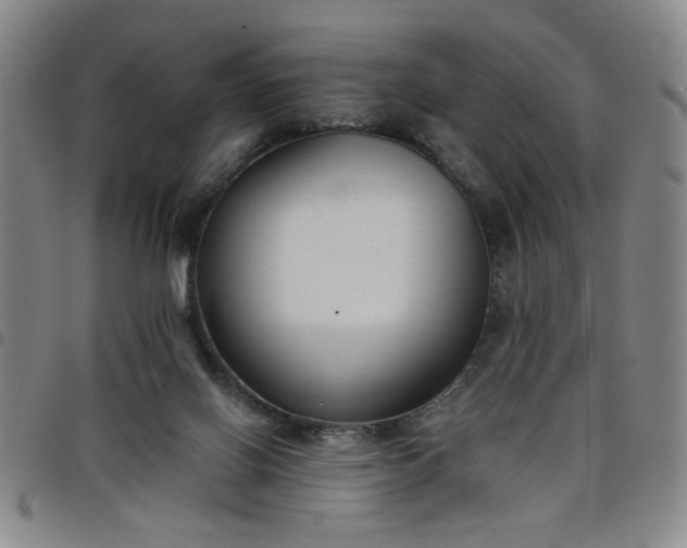 X0000098140070200804241724