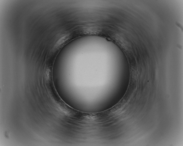 X0000098140071200804241724