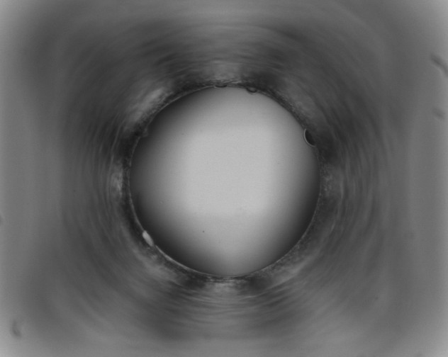 X0000098140072200804241724