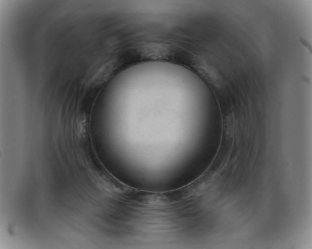 X0000098140073200804241724