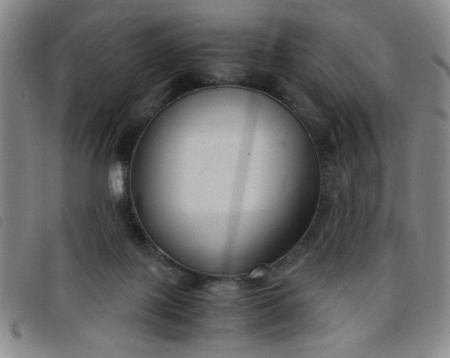 X0000098140075200804241724