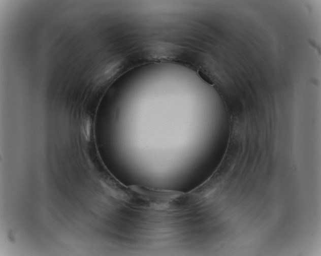 X0000098140076200804241724