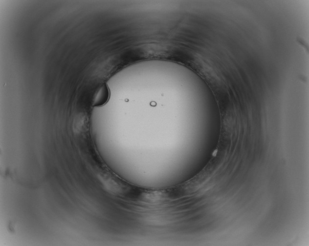 X0000098140079200804241724