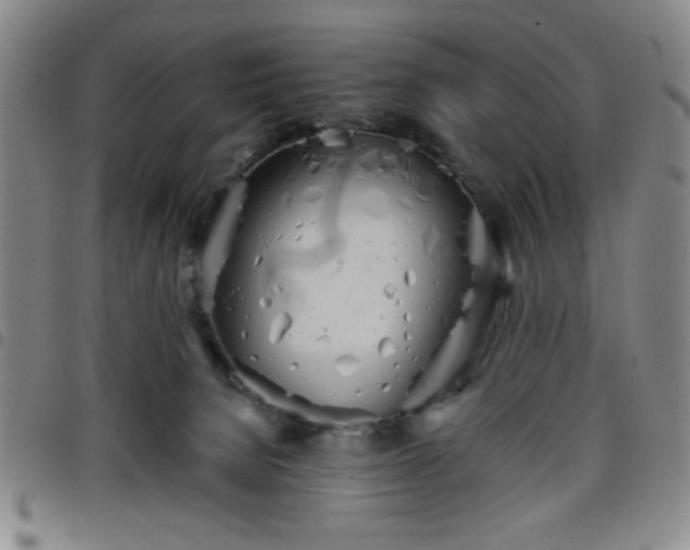 X0000098140080200804241724