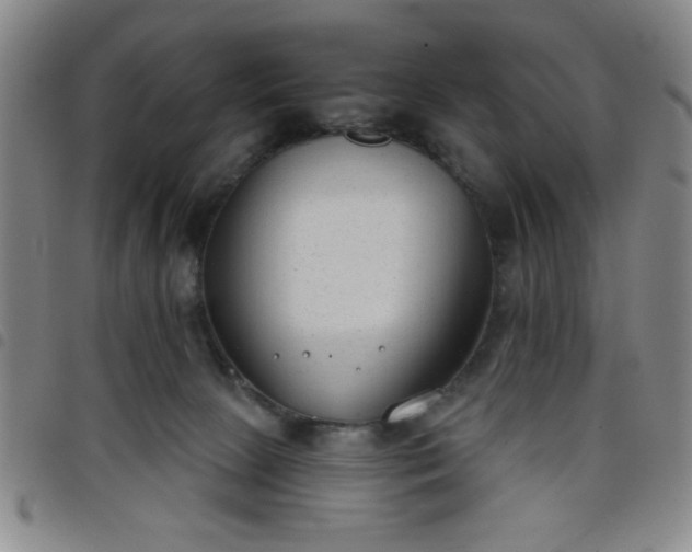 X0000098140081200804241724