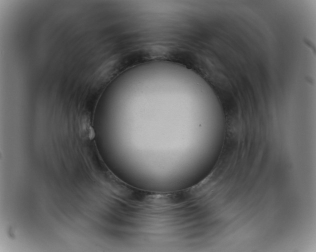 X0000098140082200804241724