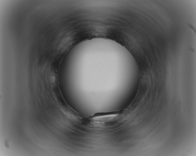 X0000098140084200804241725