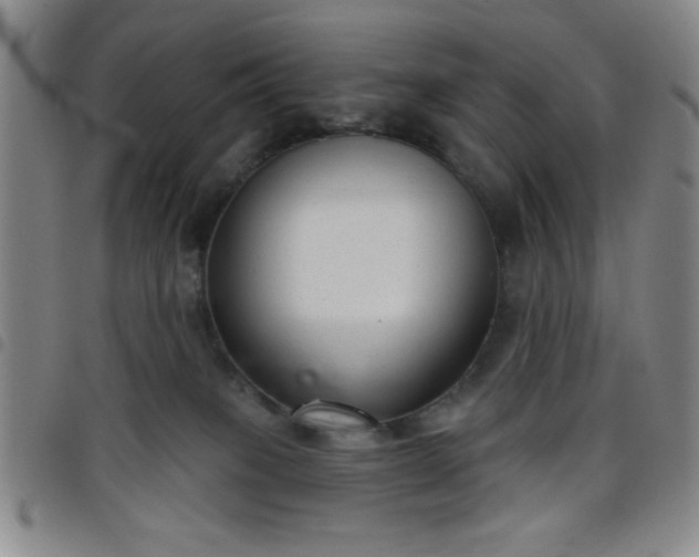 X0000098140085200804241725