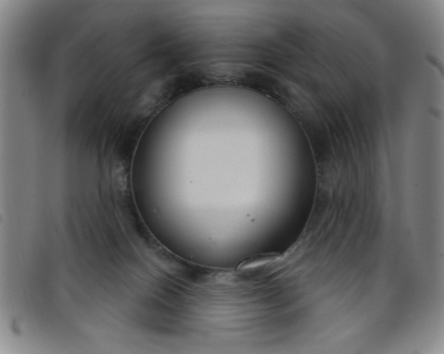 X0000098140086200804241725