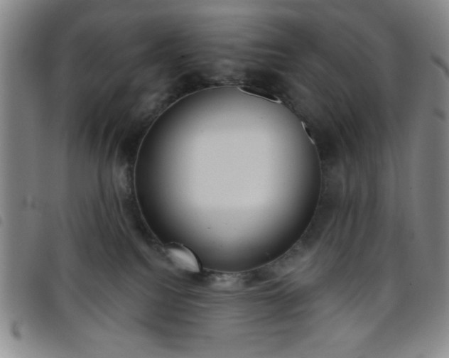 X0000098140088200804241725