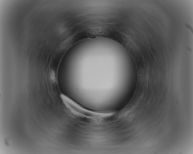 X0000098140089200804241725