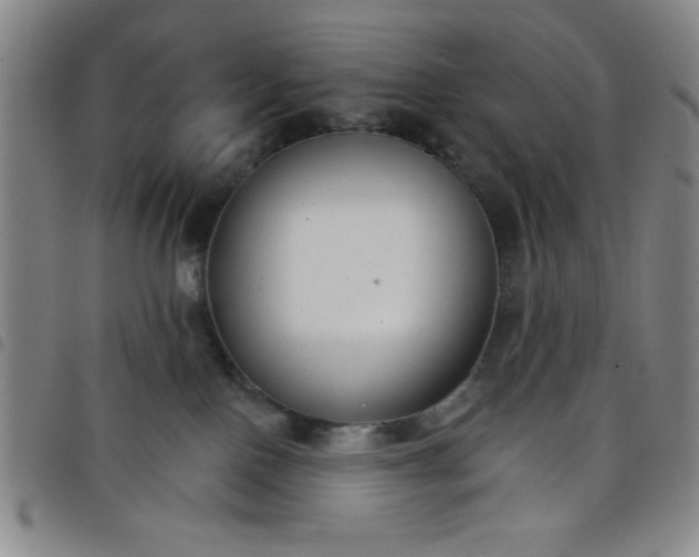 X0000098140090200804241725