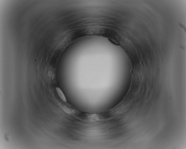 X0000098140091200804241725