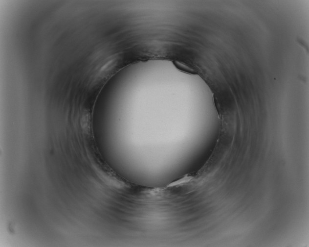 X0000098140092200804241725