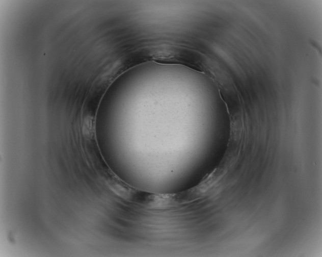 X0000098140093200804241725