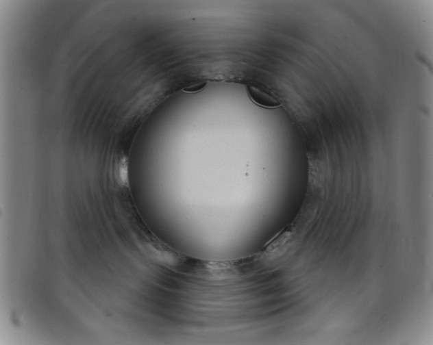 X0000098140095200804241725
