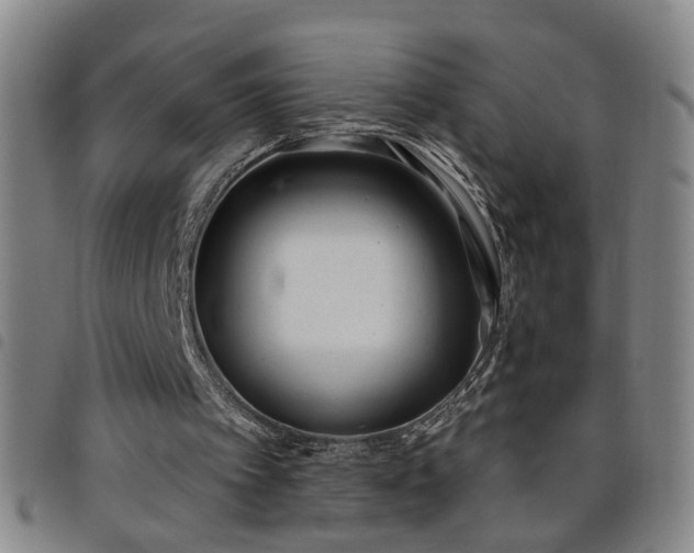 X0000098140097200804241724