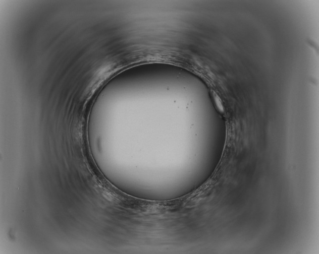 X0000098140098200804241724