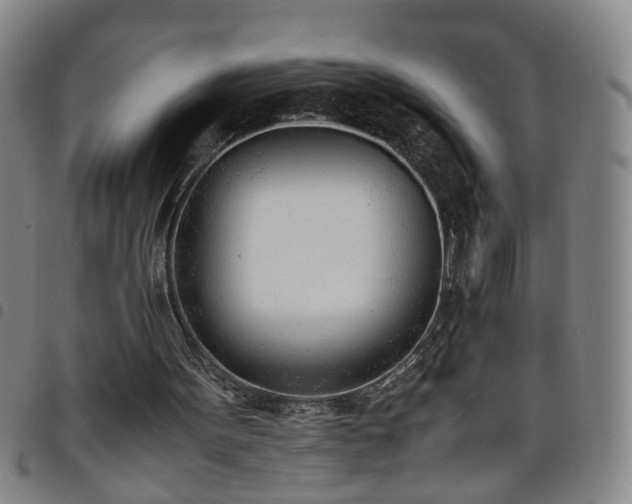 X0000098140099200804241724