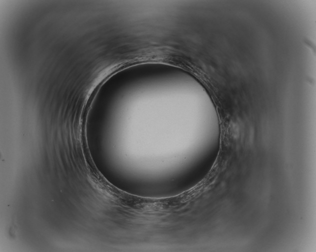 X0000098140100200804241724