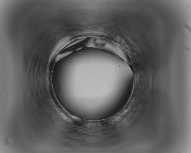 X0000098140101200804241724
