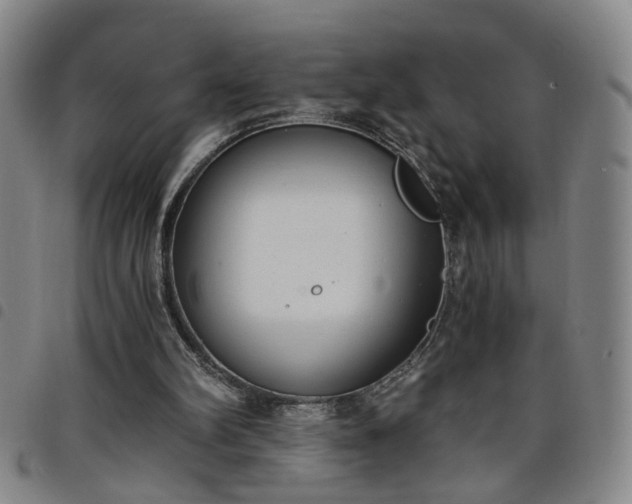 X0000098140102200804241724