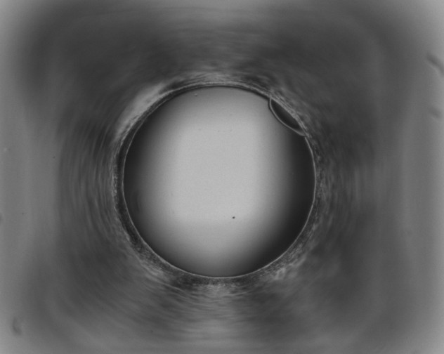 X0000098140103200804241724