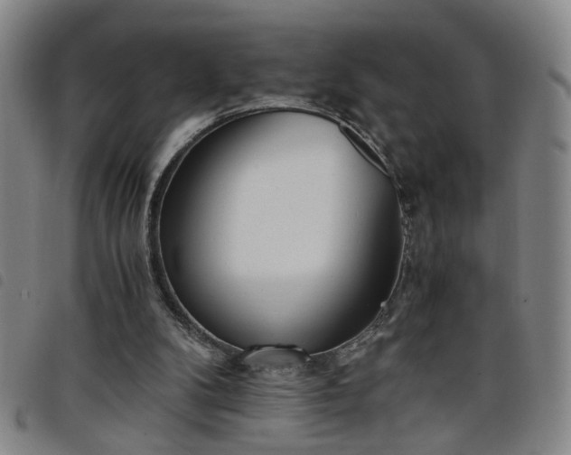 X0000098140104200804241724