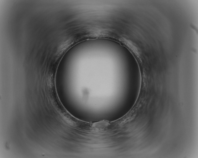 X0000098140105200804241724