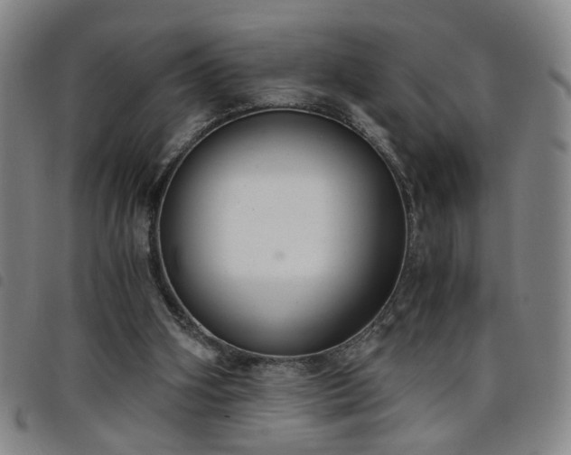 X0000098140106200804241724