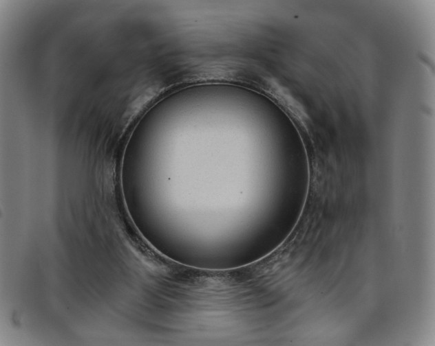 X0000098140107200804241724