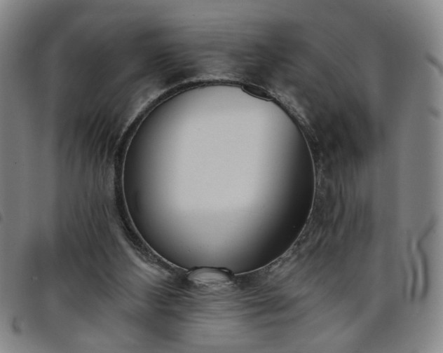X0000098140108200804241724